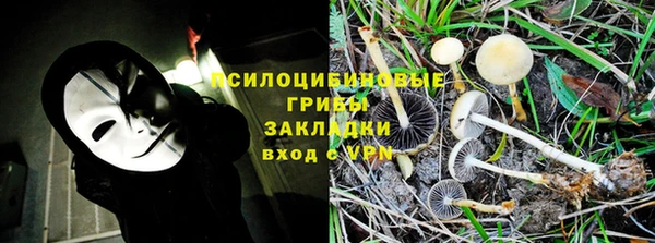 mdma Бородино